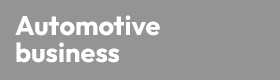 Quality Director Automotive Industry